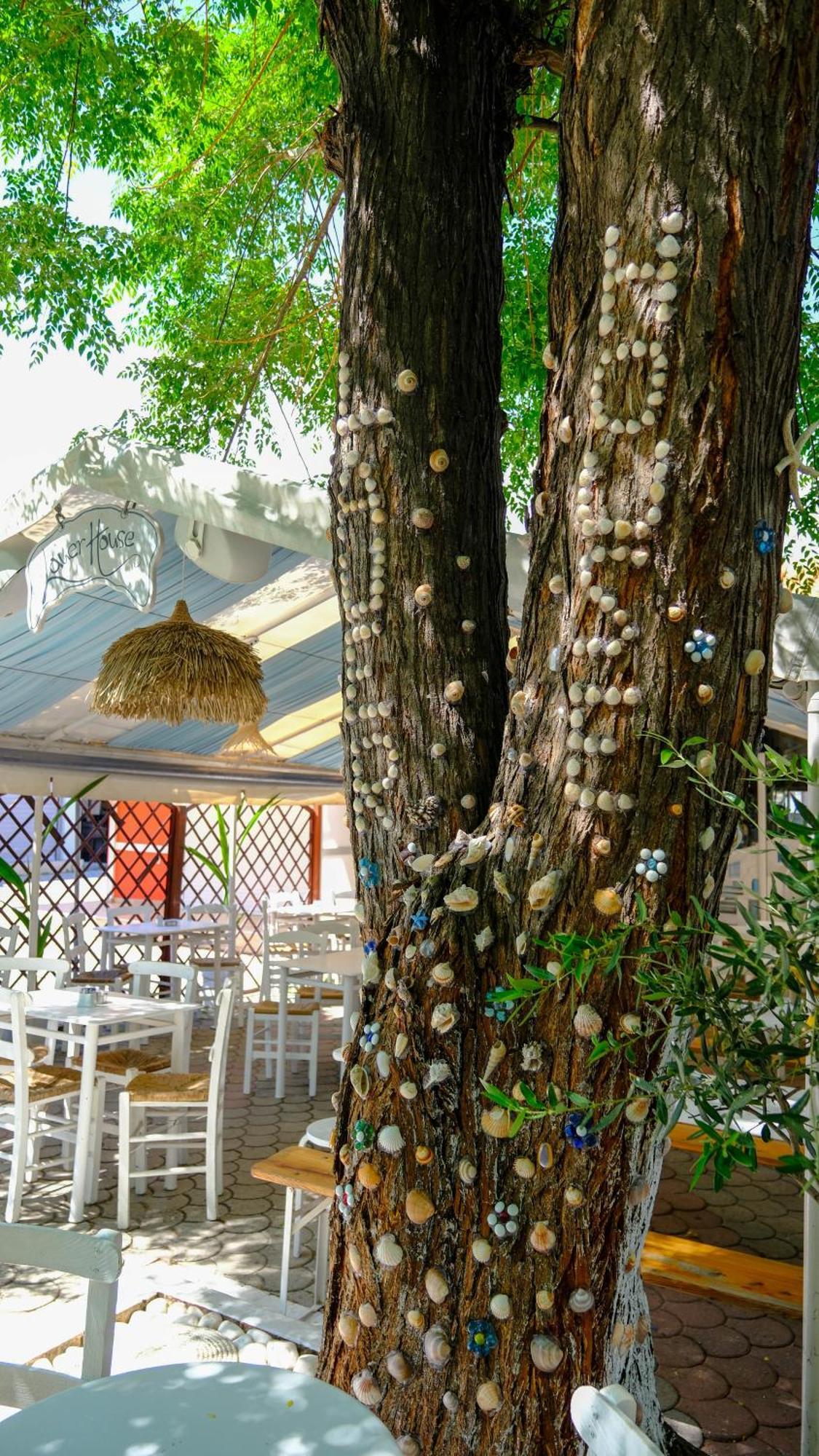 Cocoon Hotel-Beach Bar Сарти Екстериор снимка