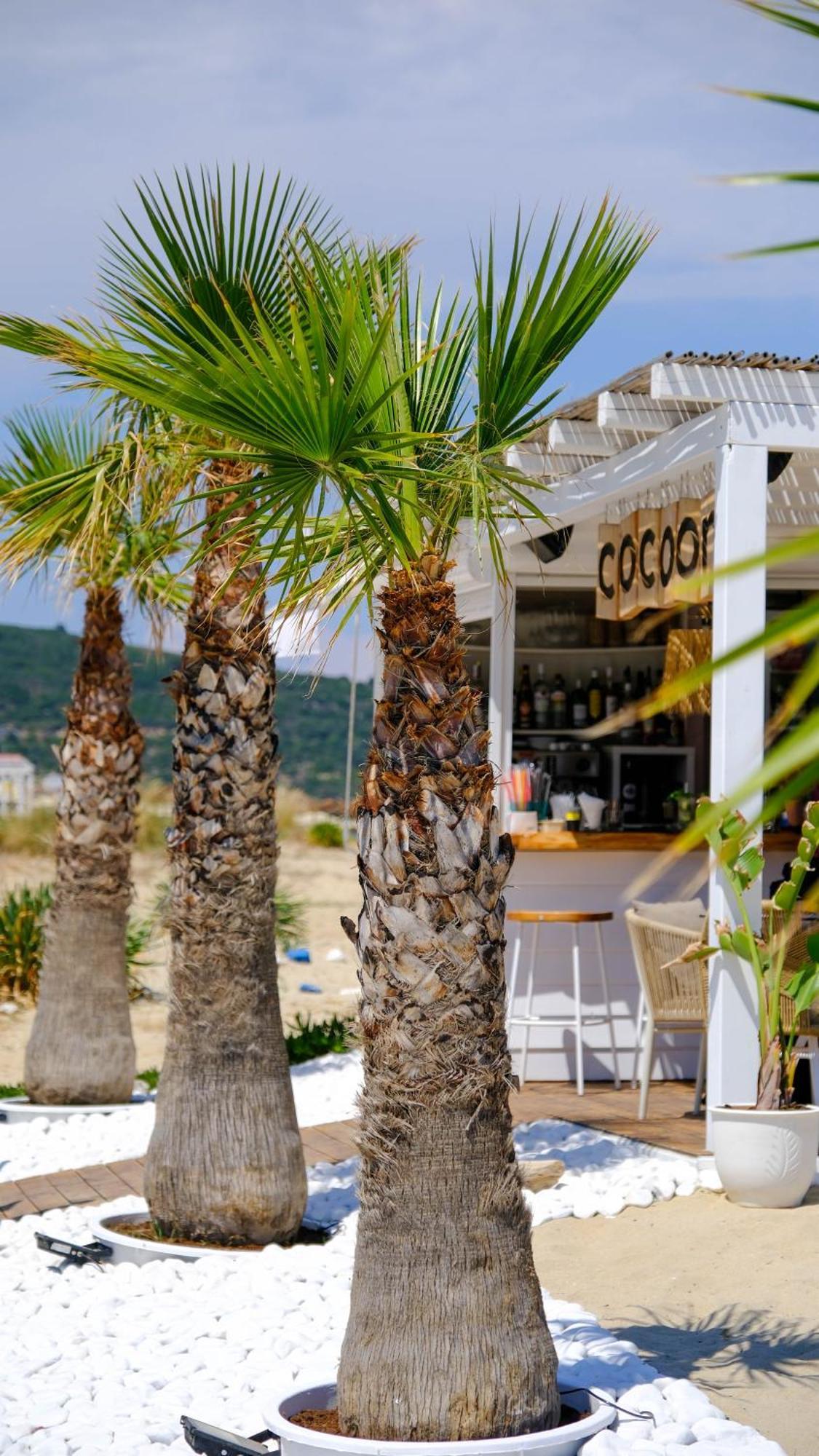 Cocoon Hotel-Beach Bar Сарти Екстериор снимка